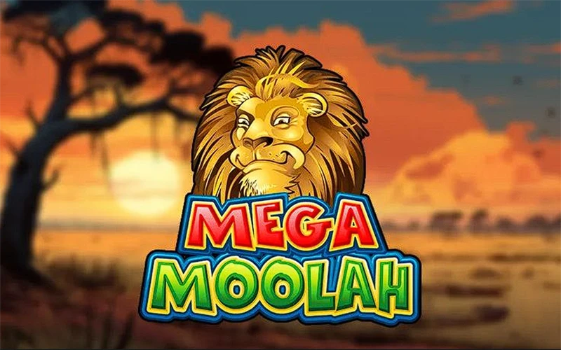 Take a top spot in the rankings of the best players in Dafabet's Mega Moolah slot.