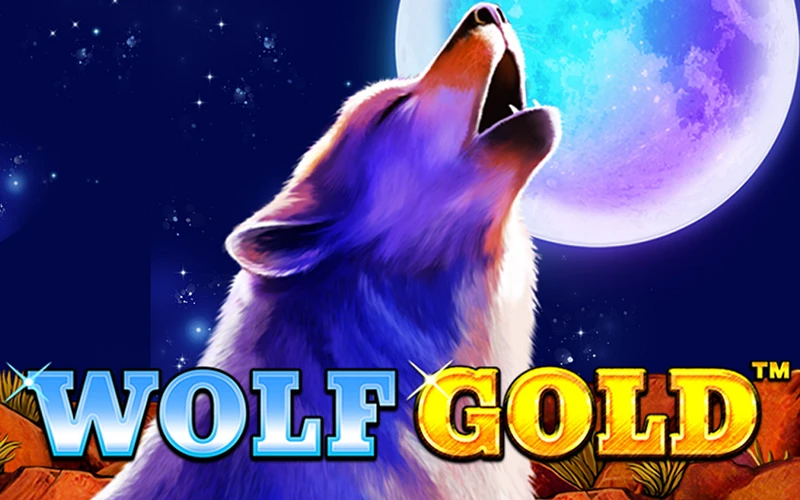 Wolf Gold by Dafabet is a unique slot with a high RTP.
